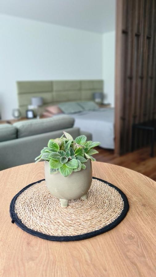 Telšiai Mona Apartamentai מראה חיצוני תמונה